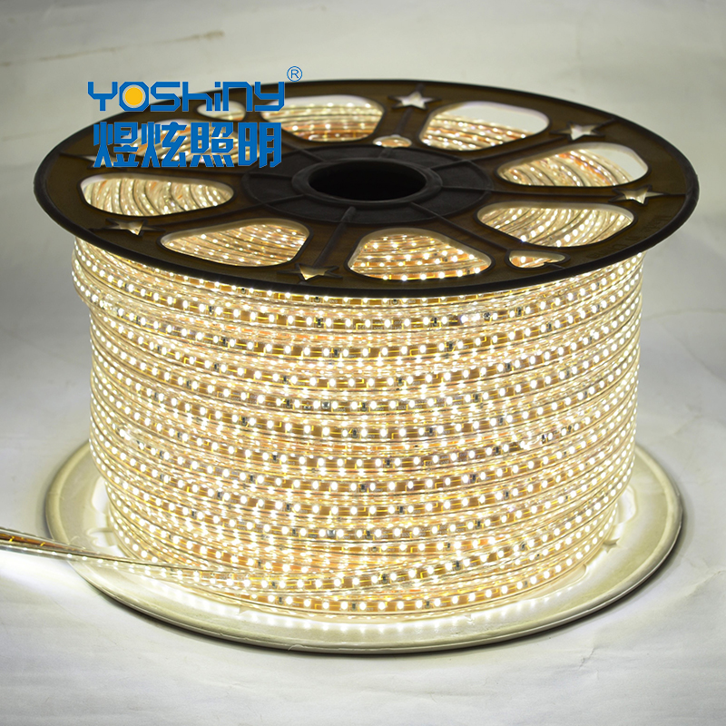 Cost effective AC LED flexible strip light low price