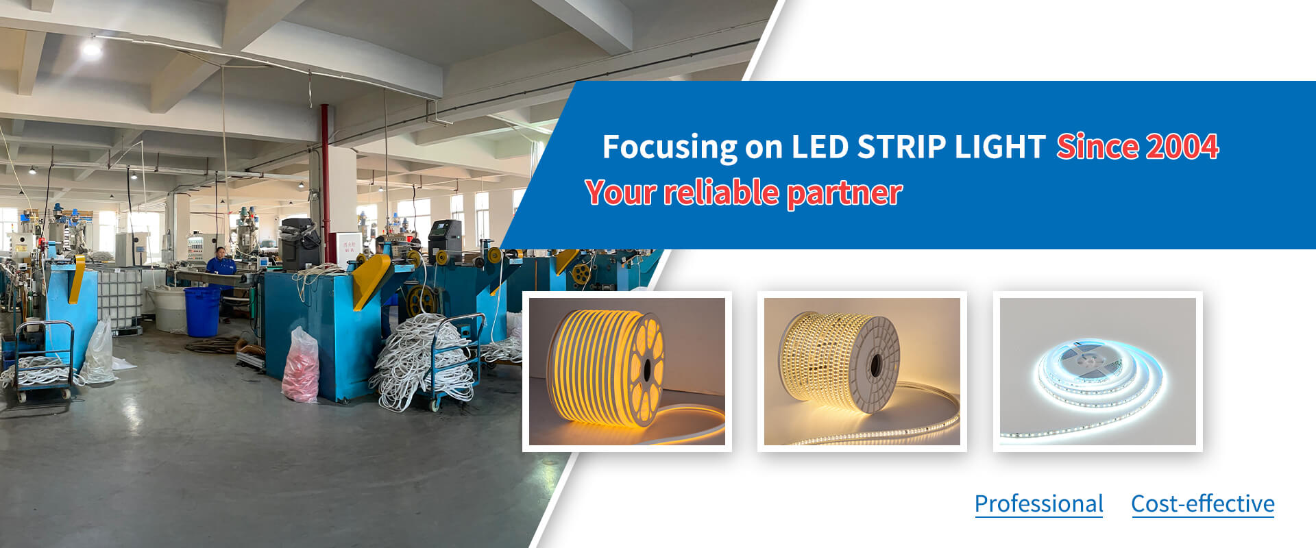 China LED Strip Light Factory 