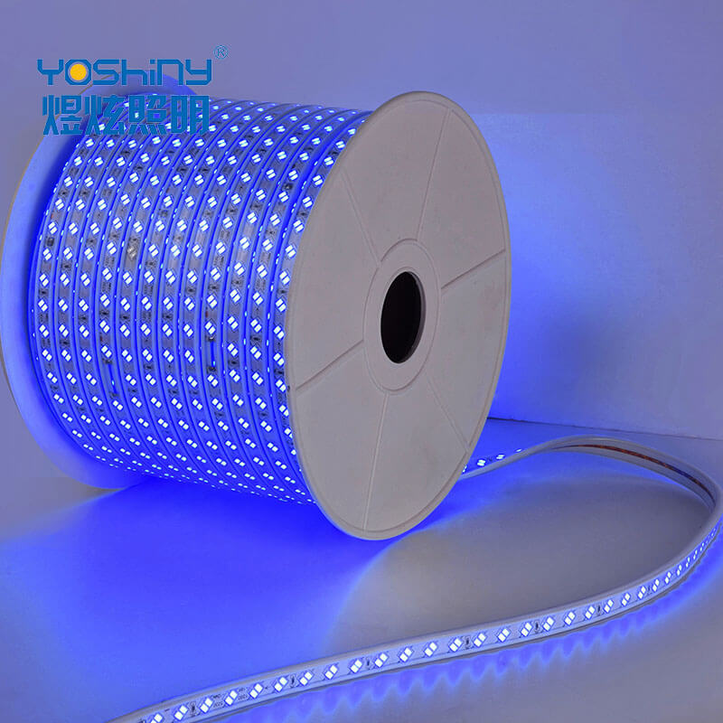 Blue Outdoor LED Strip Light Waterproof Christmas Lights