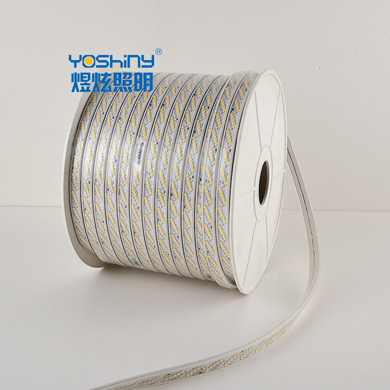 220V LED strip light