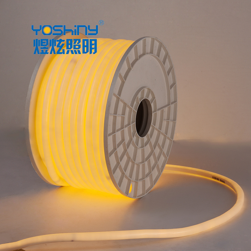 LED neon flex light rope light 360 degree lighting