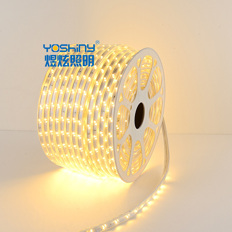 110V/220V Led strip light 2835-8-68 cost effective model