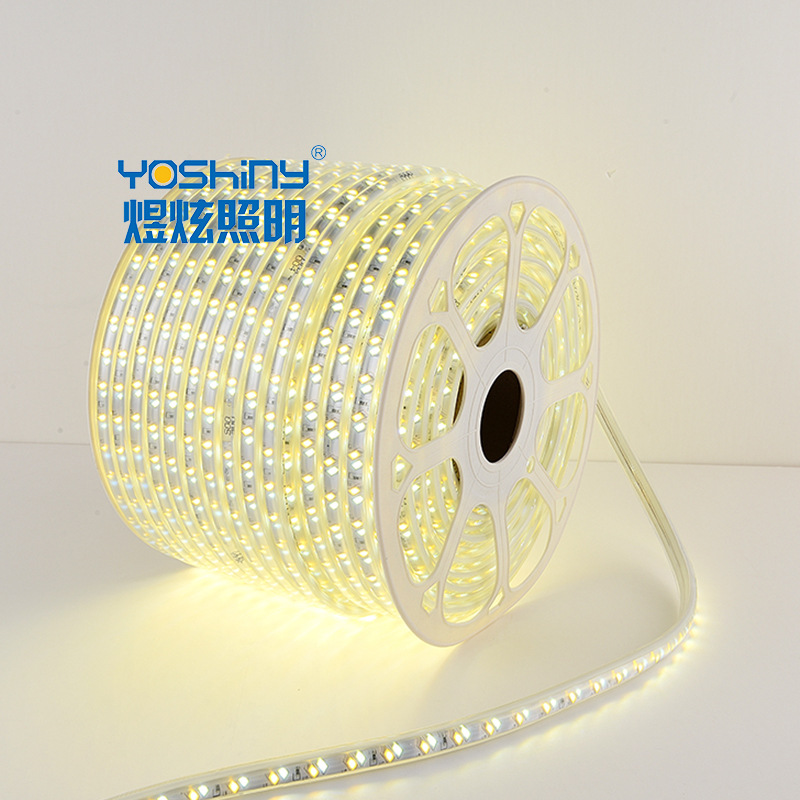 Double color strip light warm white and white 5730 chip 120LED