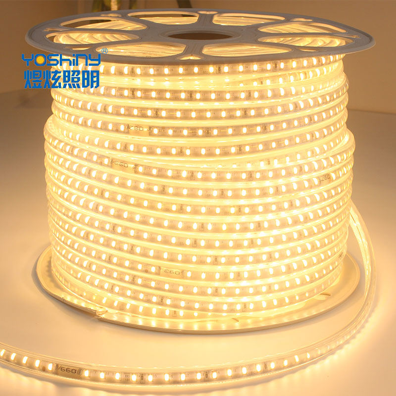 High Brightness, Single Row Cold-resistant AC Rope Light Outdoor Indoor IP65